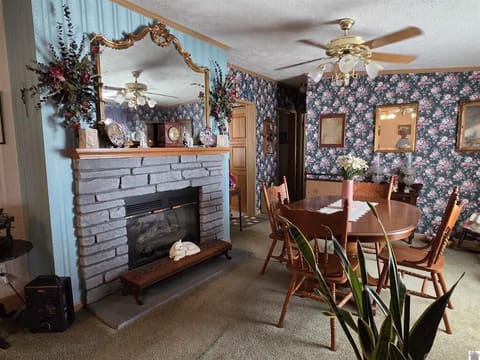 6780 KY-1241, Hickory, KY 42051 — photo 3