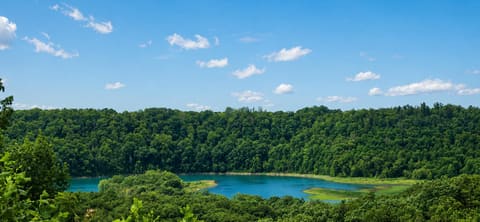 3823 Hickory Hill Drive, Somerset, KY 42503 — photo 5