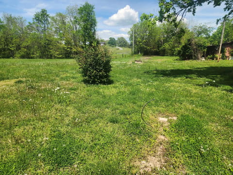 76 Boyds Landing Road, Cadiz, KY 42211 — photo 5