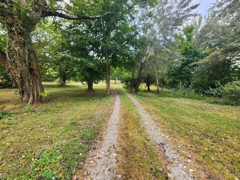 6670 Newstead Road, Hopkinsville, KY 42240 — photo 4