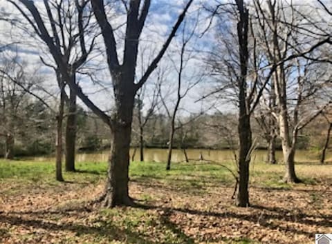 5616 Kentucky 339, Mayfield, KY 42066 — photo 5