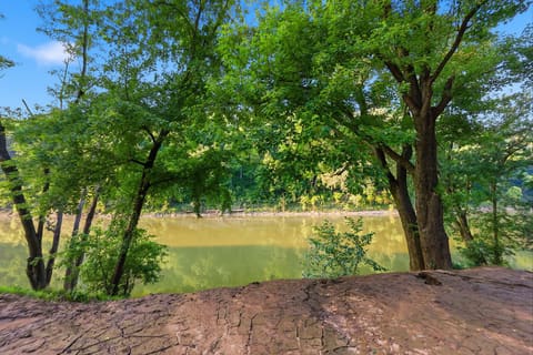 1540 Sims Valley Road, Lawrenceburg, KY 40342 — photo 4