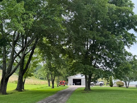 1022 Tom Cat Trail, London, KY 40741 — photo 3