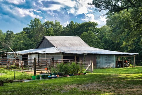 1321 KY-80, Windsor, KY 42565 — photo 3