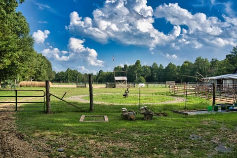 1321 KY-80, Windsor, KY 42565 — photo 4