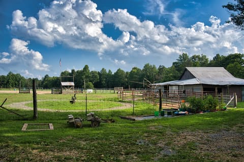 1321 KY-80, Windsor, KY 42565 — photo 5