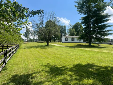 298 S Combs Avenue, Corbin, KY 40701 — photo 4