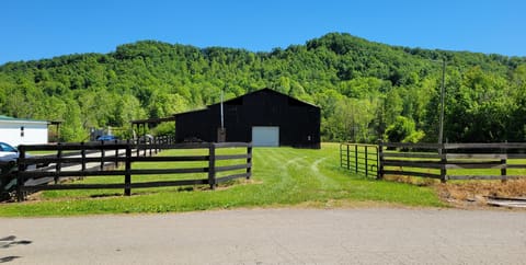 929 Pine Grove Road, Olympia, KY 40358 — photo 3
