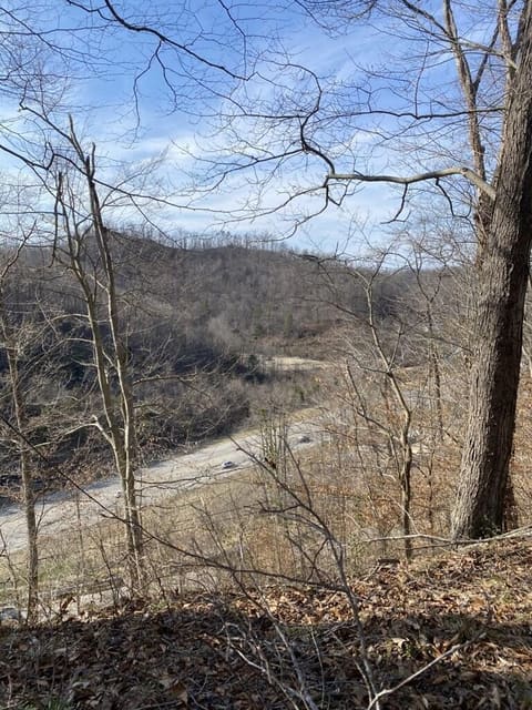 980 Bess Daniels Drive, Prestonsburg, KY 41653 — photo 4