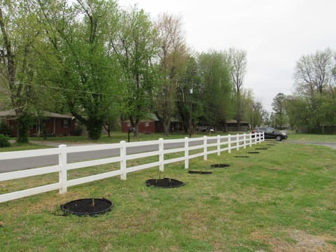 155 Deanne Drive, Ledbetter, KY 42058 — photo 3