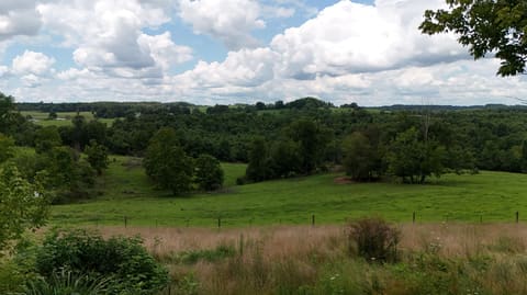 625 Caney Creek Road, Waynesburg, KY 40489 — photo 2