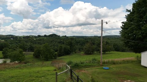 625 Caney Creek Road, Waynesburg, KY 40489 — photo 3