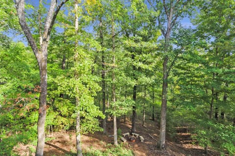 1386 Boatwright Trail, Murray, KY 42071 — photo 4