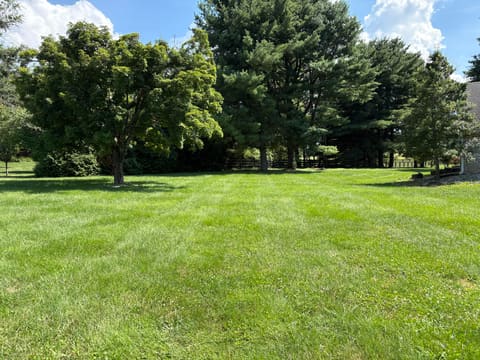 109 Barkley, Nicholasville, KY 40356 — photo 4
