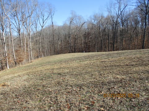 2306 Rockcastle Road, Cadiz, KY 42211 — photo 5