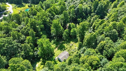 463 Hillman Road, Olive Hill, KY 41164 — photo 2