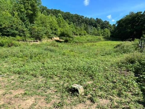 305 Pond Lick Road, Annville, KY 40402 — photo 3