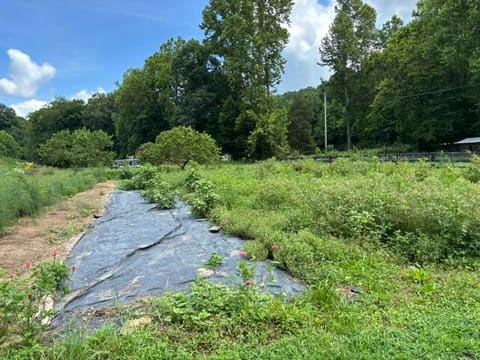 305 Pond Lick Road, Annville, KY 40402 — photo 5