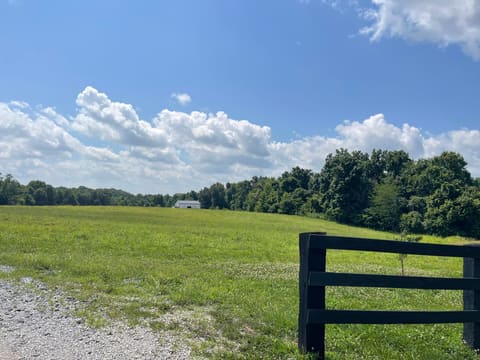 1923 Bush Road, Cadiz, KY 42211 — photo 5