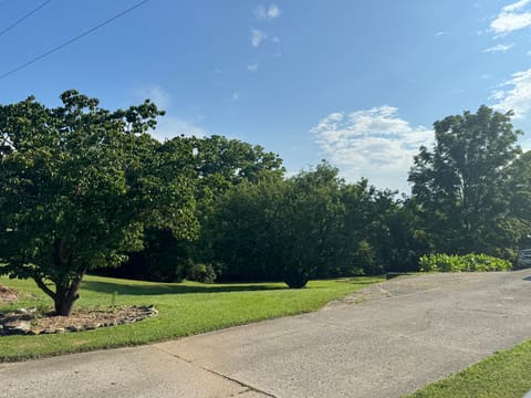 308 Martin Drive, Richmond, KY 40475 — photo 2