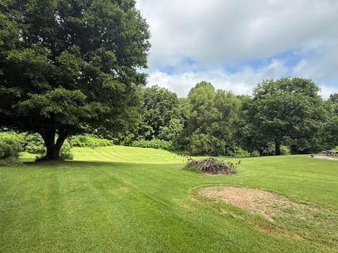 468 E Court Street, Bardwell, KY 42023 — photo 4