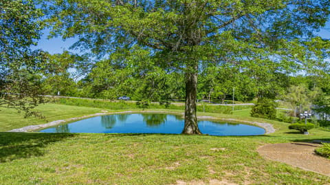 2331 US-60, Marion, KY 42064 — photo 3