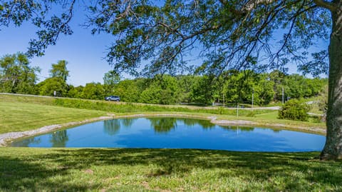 2331 US-60, Marion, KY 42064 — photo 4