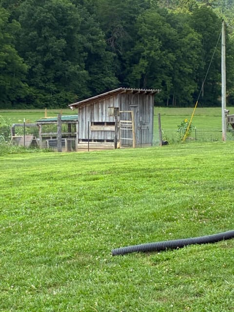 1183 Hwy 2027, Campton, KY 41301 — photo 5