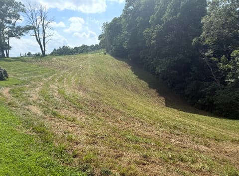 566 Ebon Road, Wellington, KY 40387 — photo 4