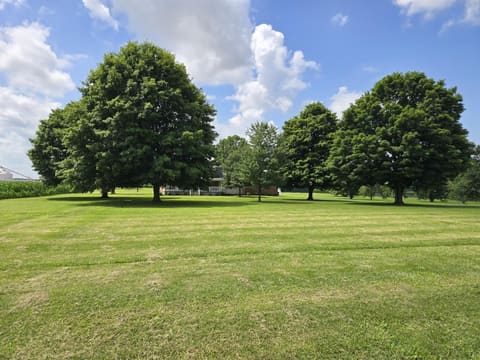 511 Snardon Mill Road, Allensville, KY 42204 — photo 4