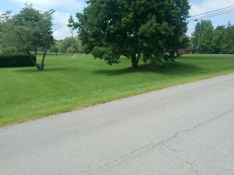 221 Maple Avenue, Calvert City, KY 42029 — photo 3