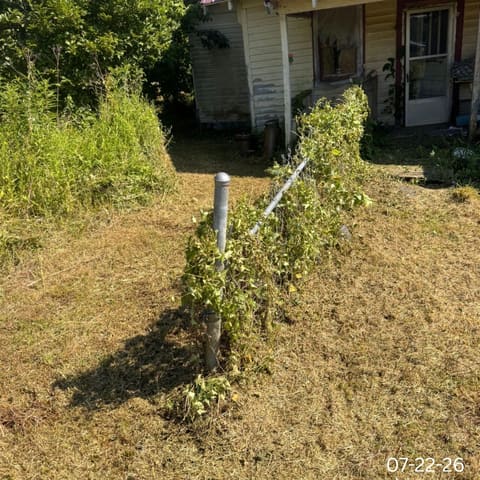 1386 State Highway 1092, Flat Gap, KY 41219 — photo 3