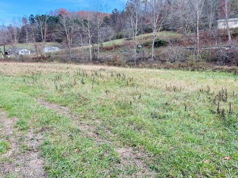 319 Highway 472 Highway, Manchester, KY 40962 — photo 4