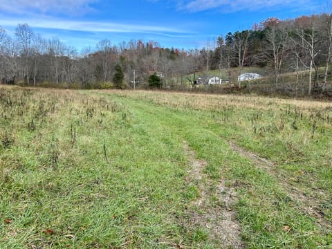 319 Highway 472 Highway, Manchester, KY 40962 — photo 5