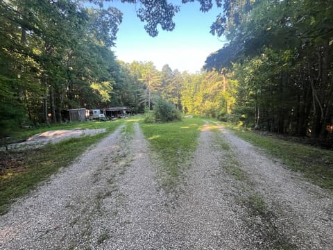 184 Catfish Cove Rd Cove, Pine Ridge, KY 41360 — photo 3