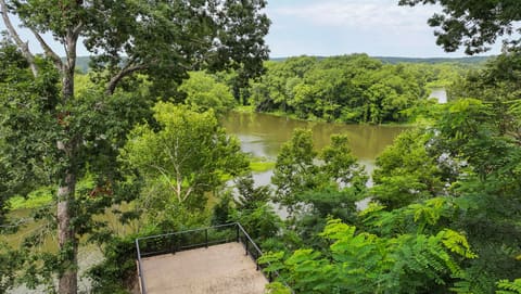 378 Harbor Drive, Cadiz, KY 42211 — photo 5