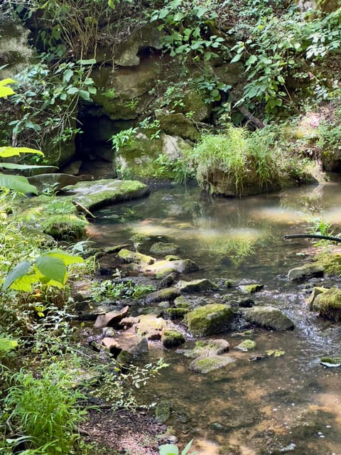7120 N Hwy 127, Albany, KY 42602 — photo 2