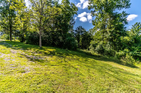 13081 Seaville Road, Willisburg, KY 40078 — photo 2