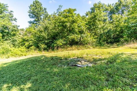 13081 Seaville Road, Willisburg, KY 40078 — photo 5