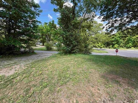 1036 Canton Road, Cadiz, KY 42211 — photo 4