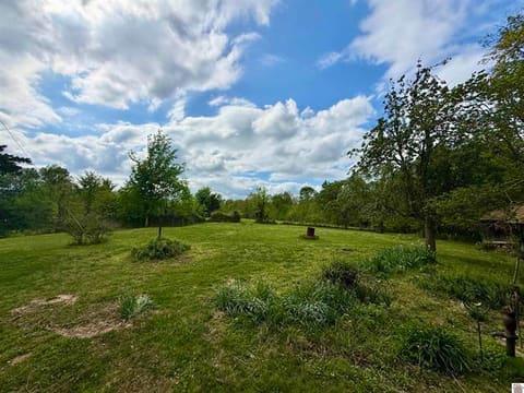 9872 State Highway 93, Eddyville, KY 42038 — photo 2