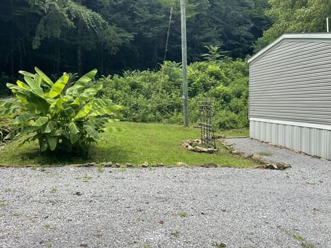238 Coal Stone Branch Road, Miracle, KY 40856 — photo 3