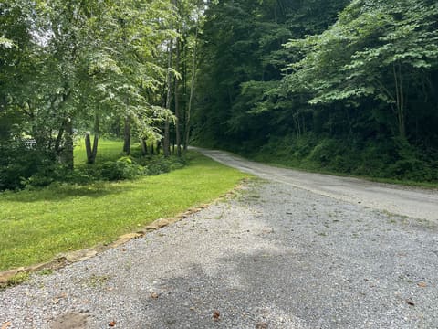 238 Coal Stone Branch Road, Miracle, KY 40856 — photo 5