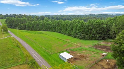 547 Trace Fork Road, Liberty, KY 42539 — photo 4