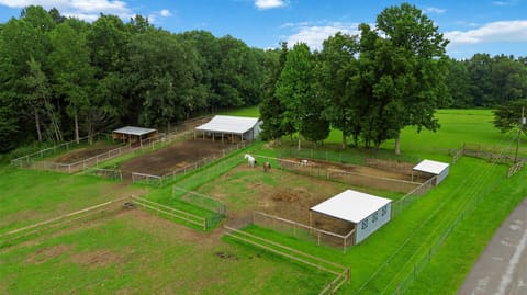 547 Trace Fork Road, Liberty, KY 42539 — photo 5