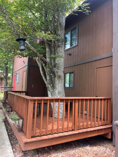 145 S State Park Road C3, Jamestown, KY 42629 — photo 2