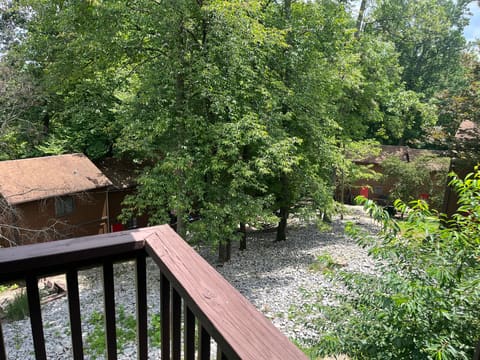 145 S State Park Road C3, Jamestown, KY 42629 — photo 5