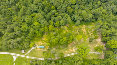 439 Lakepoint View Road, Monticello, KY 42633 — photo 5