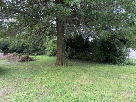 101 Ilhardt Avenue, Nicholasville, KY 40356 — photo 5