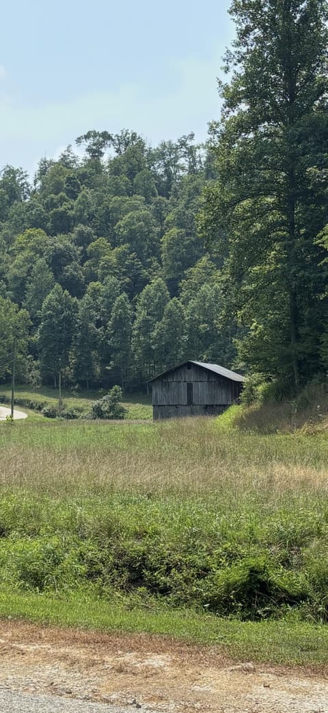 3750 Hunting Creek Road, Bays, KY 41310 — photo 5